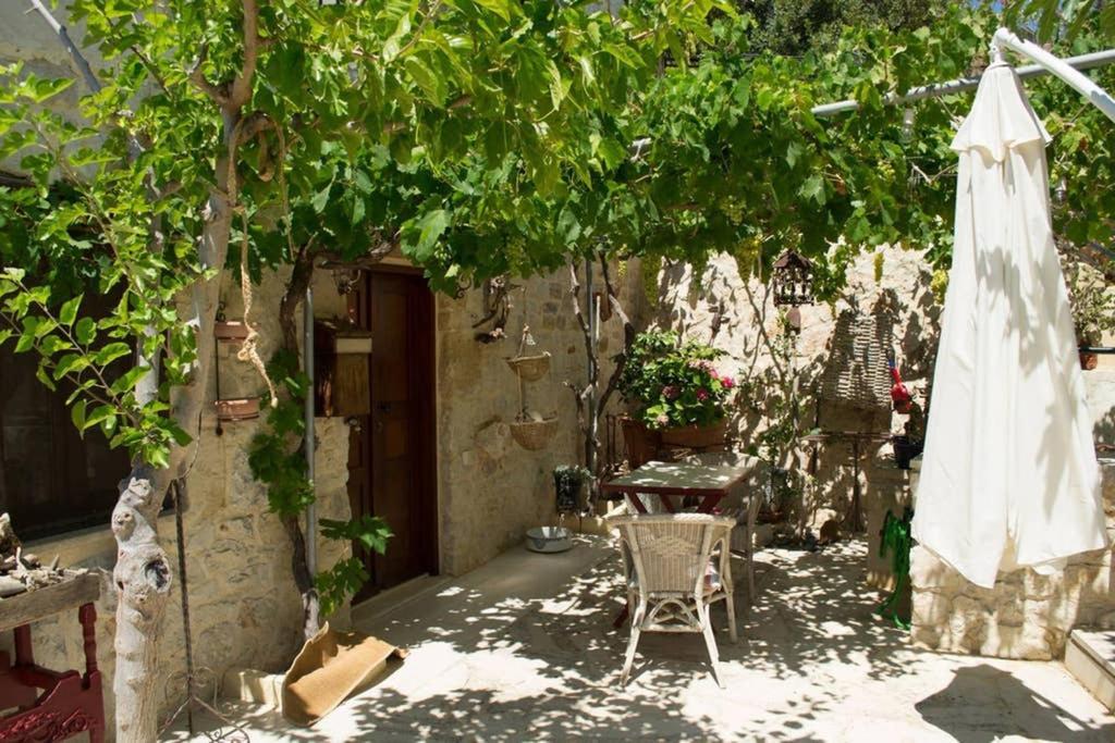 Villa Petite Olive House Sitia  Esterno foto
