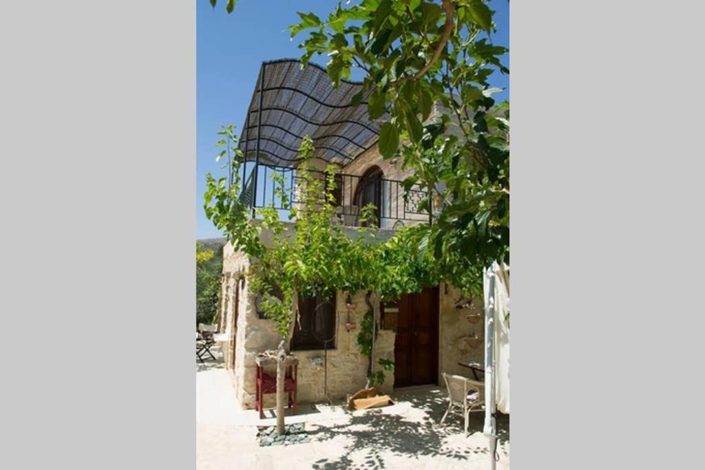 Villa Petite Olive House Sitia  Esterno foto